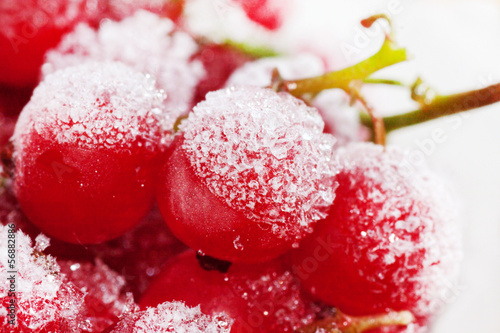 Photo: Frozen red currant berries. Frozen red currant berries.