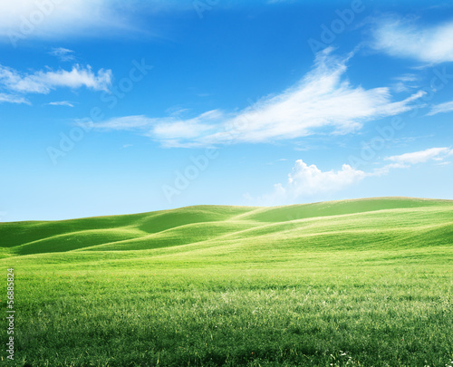 Photo: field of grass and perfect sky field of grass and perfect sky