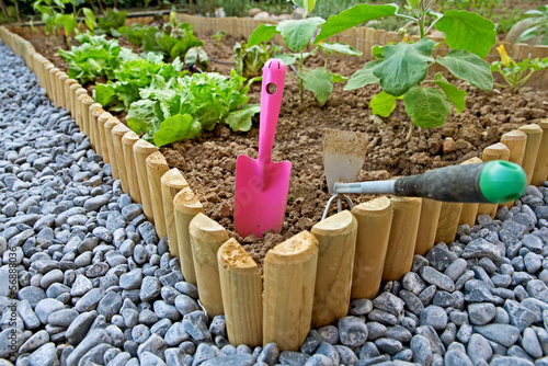 Photo: Vegetable garden Vegetable garden