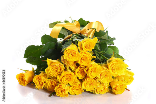 Photo: yellow rose yellow rose