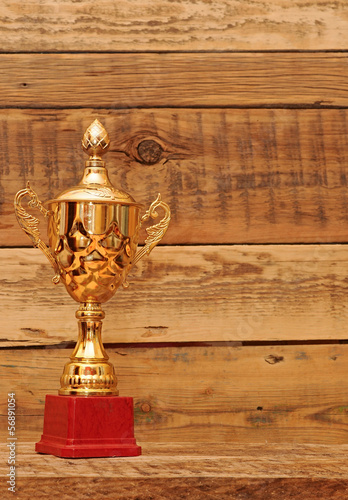 Photo: gold cup over wooden background gold cup over wooden background