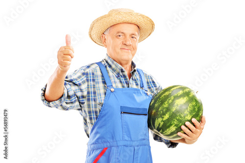Photo: Smiling farmer holding a watermelon and giving thumb up Smiling farmer holding a watermelon and giving thumb up