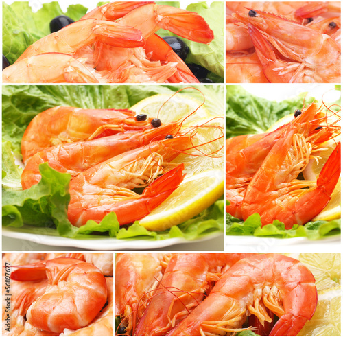 Photo: The most refined shrimps dishes The most refined shrimps dishes