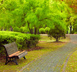 Green city park. Shanghai, China Green city park. Shanghai, China
