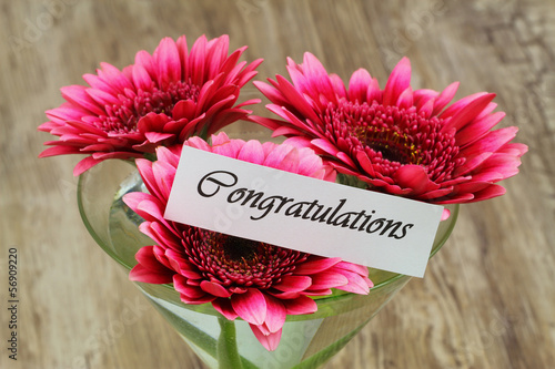 Photo: Congratulations card with dark pink gerbera daisies Congratulations card with dark pink gerbera daisies