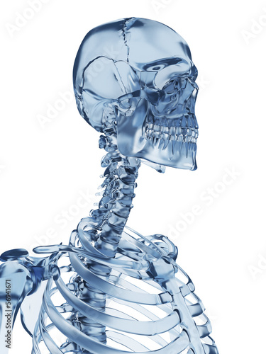 Illustration: 3d rendered illustration of a glass skeleton 3d rendered illustration of a glass skeleton