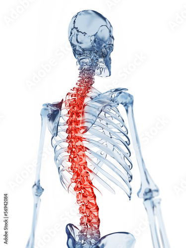 Illustration: 3d rendered illustration of a glass skeleton 3d rendered illustration of a glass skeleton