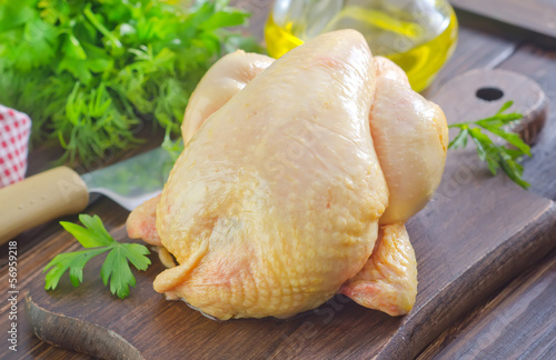 Photo: chicken chicken