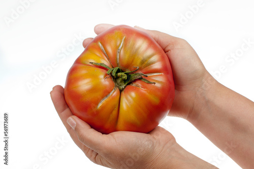 Photo: Tomato Tomato