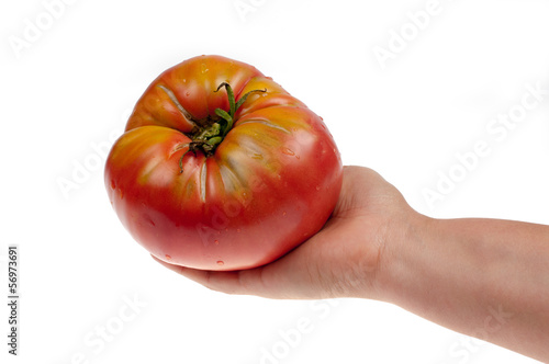 Photo: Tomato Tomato