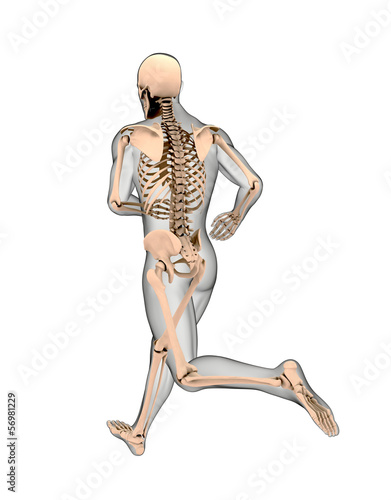 Illustration: Running male medical skeleton Running male medical skeleton