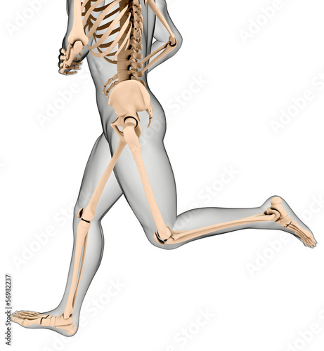 Illustration: Male medical skeleton running legs Male medical skeleton running legs