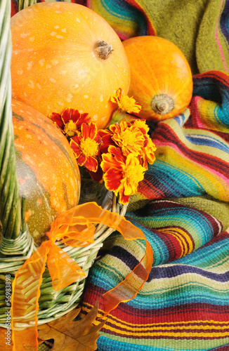 Photo: Motley pumpkins for Halloween Motley pumpkins for Halloween