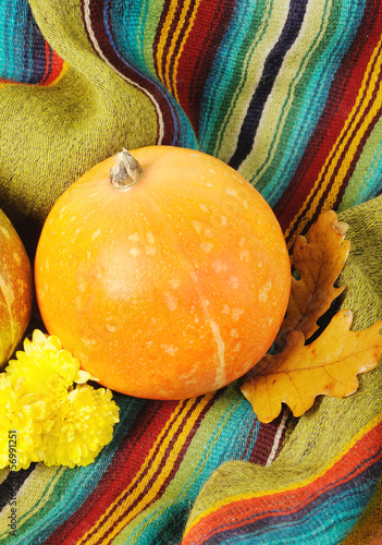 Photo: Pumpkin for Halloween Pumpkin for Halloween