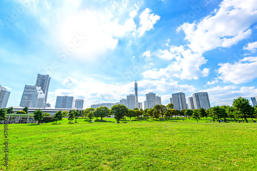 Photo: Landscape grass prospects the Yokohama city buildings in Japan Landscape grass prospects the Yokohama city buildings in Japan