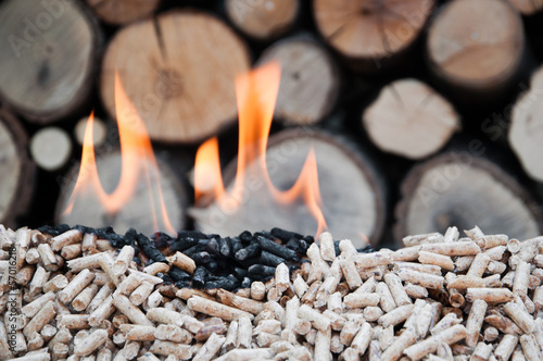 Photo: Pellets- Biomass Pellets- Biomass