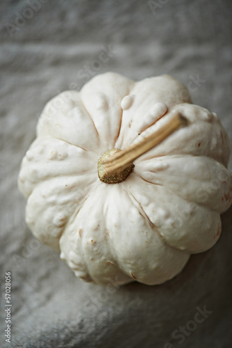 Photo: White Pumpkin White Pumpkin