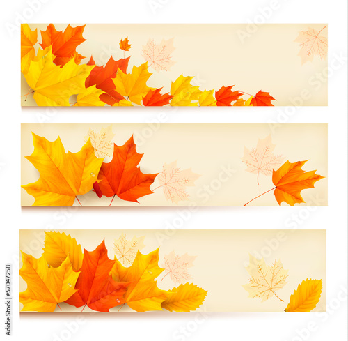 Vector: Three autumn banners with colorful leaves Vector Three autumn banners with colorful leaves Vector