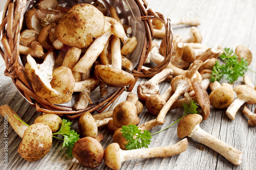 Photo: Fresh mushrooms Fresh mushrooms