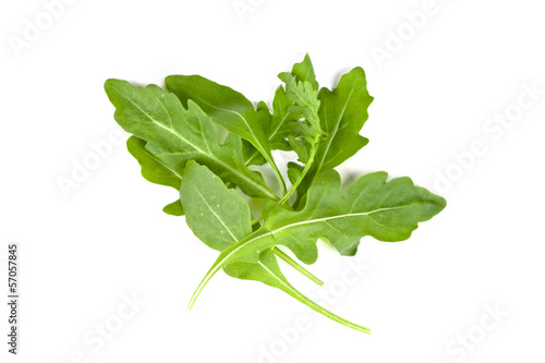 Photo: fresh rucola leaves fresh rucola leaves