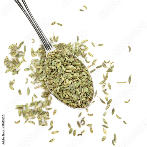 Photo: Aniseed Aniseed
