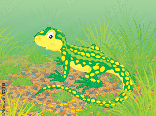Illustration: Lizard Lizard