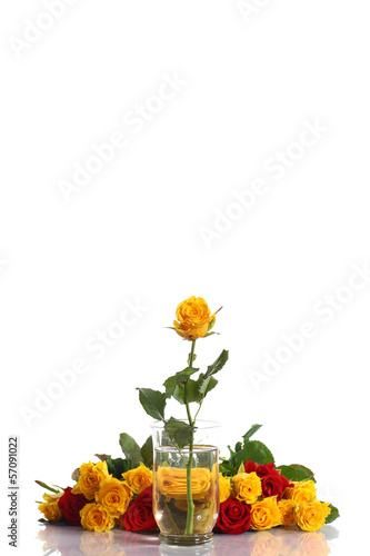 Photo: yellow and red roses in a vase yellow and red roses in a vase