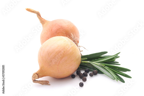 Photo: Onions Onions