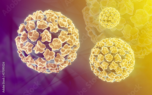 Illustration: papilloma virus papilloma virus