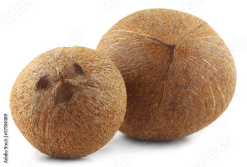 Photo: Two Coconuts over white background Two Coconuts over white background