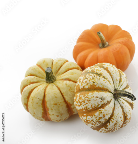 Photo: Pumpkins Pumpkins