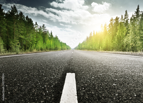 Photo: road in deep forest road in deep forest