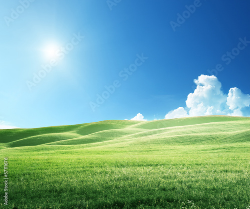 Photo: field of grass and perfect sky field of grass and perfect sky