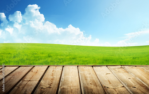 Photo: Green field and wood floor Green field and wood floor