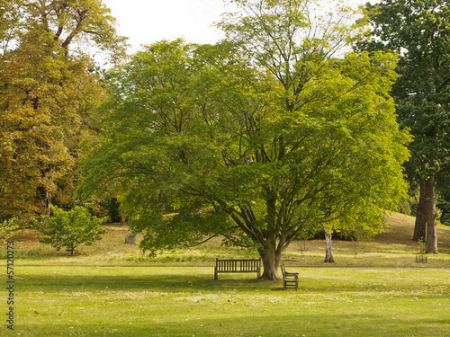 Photo: Parco a Londra Parco a Londra