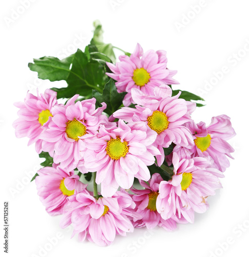 Photo: Beautiful purple flowers isolated on white Beautiful purple flowers isolated on white