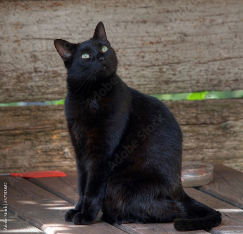 Photo: Black Black