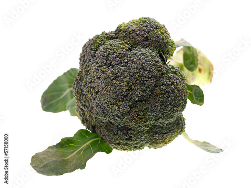 Photo: Broccoli Broccoli
