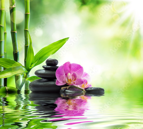  Background spa - orchids black stones and bamboo on water