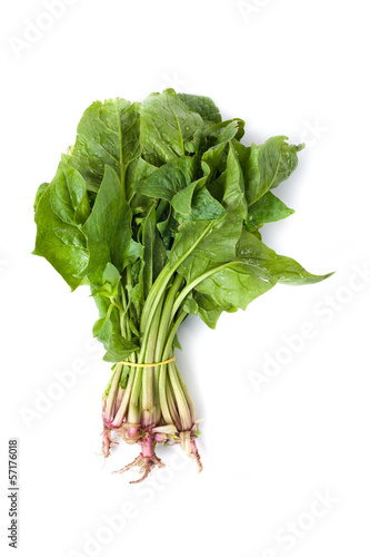 Photo: Spinach Spinach