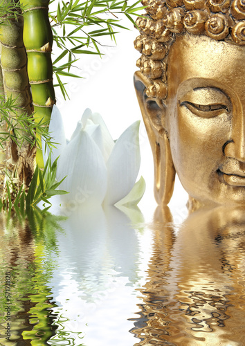 Photo: Bouddha, bambou et fleur de lotus Bouddha, bambou et fleur de lotus