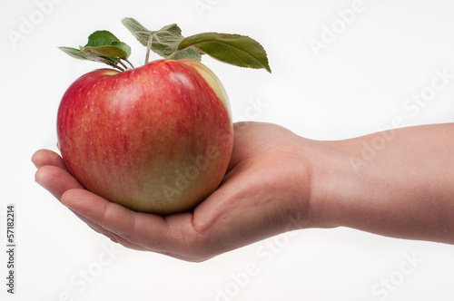 Photo: Apple in hand Apple in hand