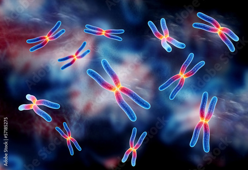 Illustration: chromosome chromosome