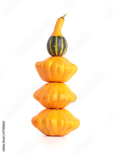 Photo: Decorative squash and bush pumpkins on white background. Decorative squash and bush pumpkins on white background.