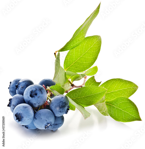 Photo: Blueberries with leaves on a white background. Blueberries with leaves on a white background.
