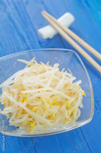 Photo: sprouts sprouts
