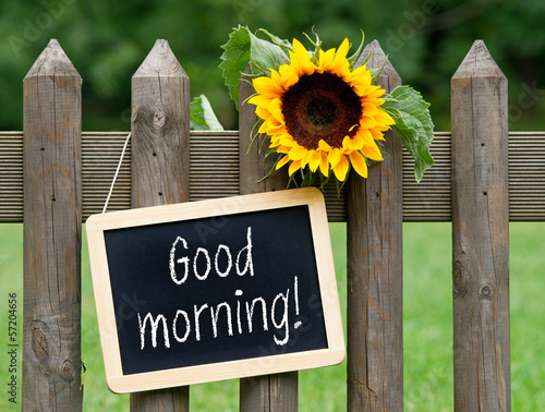 Photo: Good morning ! Good morning !