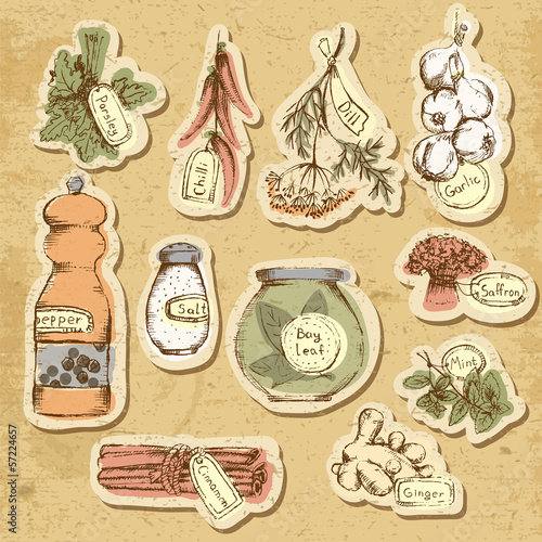 Vector: Spices and herbs. Set of elements for design. Spices and herbs. Set of elements for design.