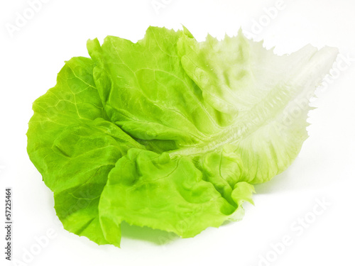 Photo: Salatblatt Salatblatt
