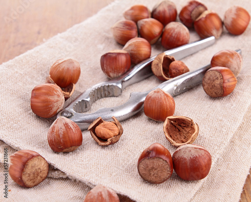 Photo: hazelnut and nutcracker hazelnut and nutcracker